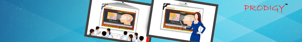 Portable Interactive Device